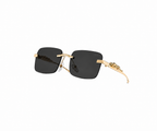 Cartier Frames