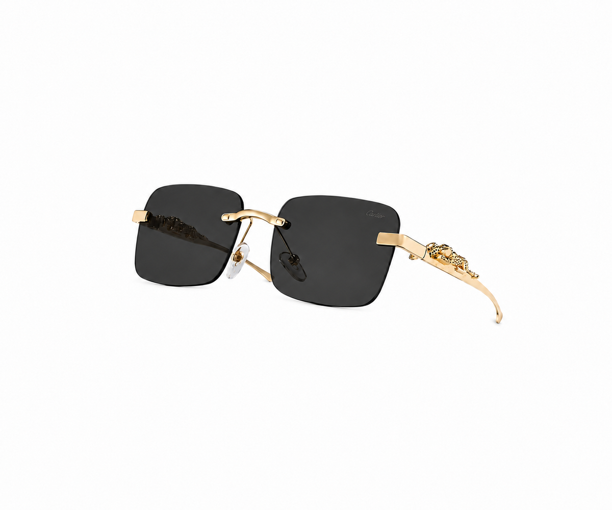 Cartier Frames
