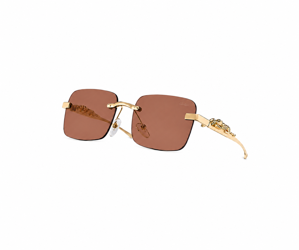Cartier Frames